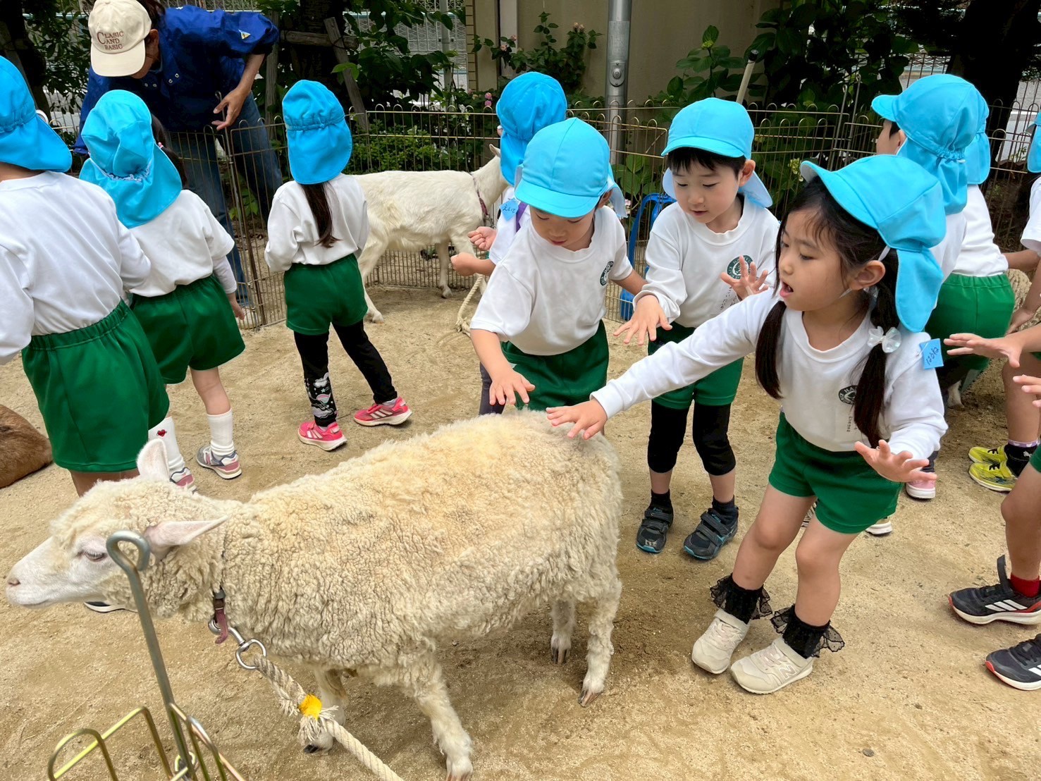 Featured image for “移動動物園”