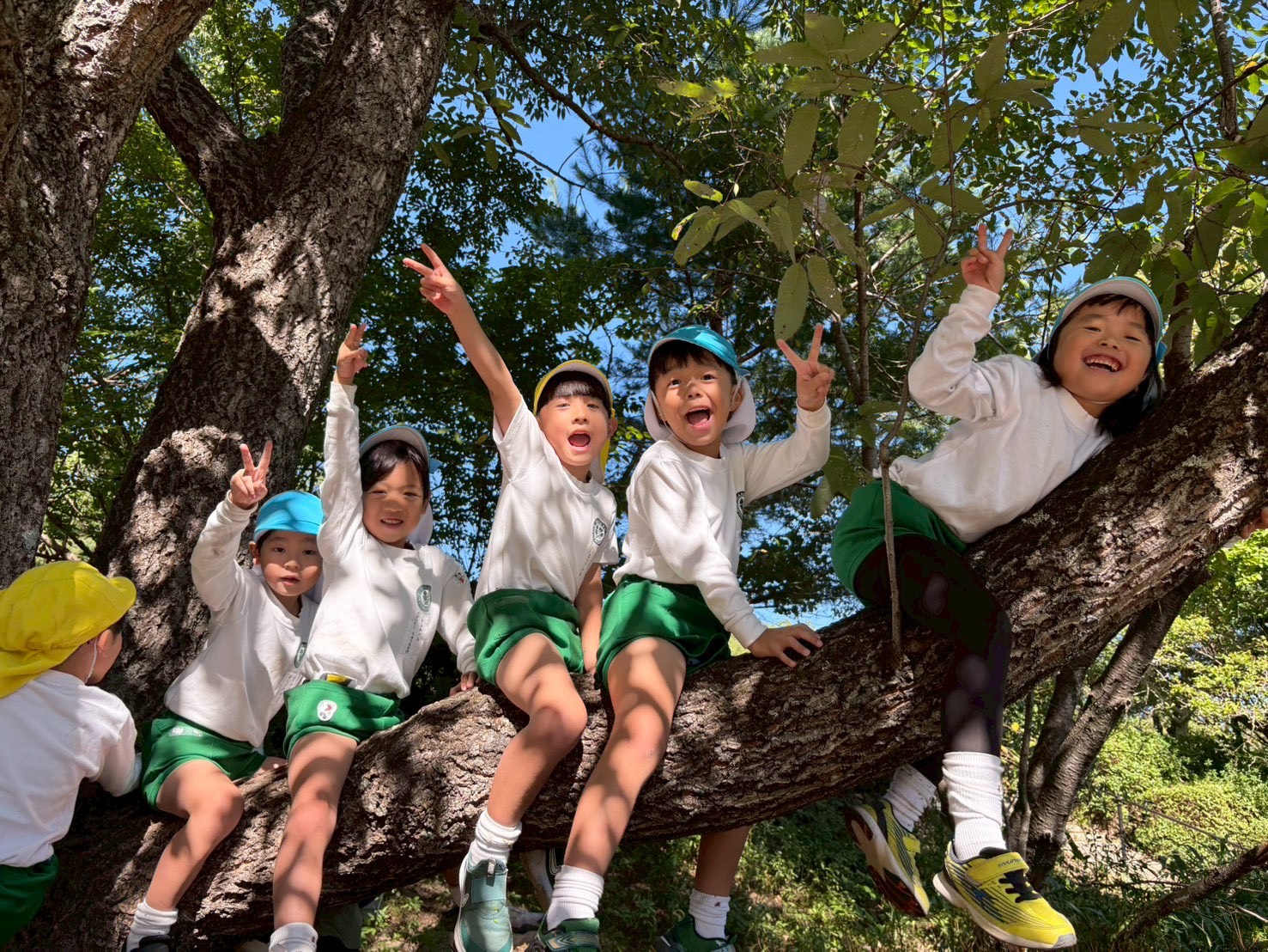 Featured image for “10月23日　秋の遠足”