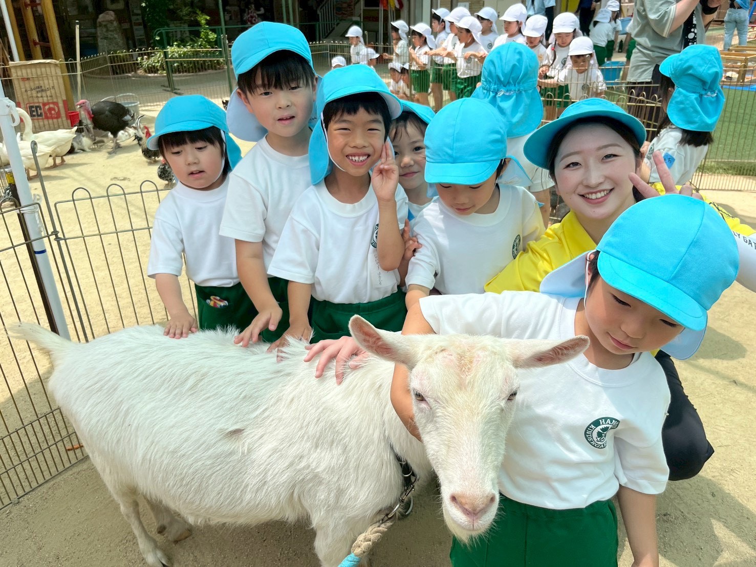 Featured image for “6月1日（月）移動動物園がありました✨”