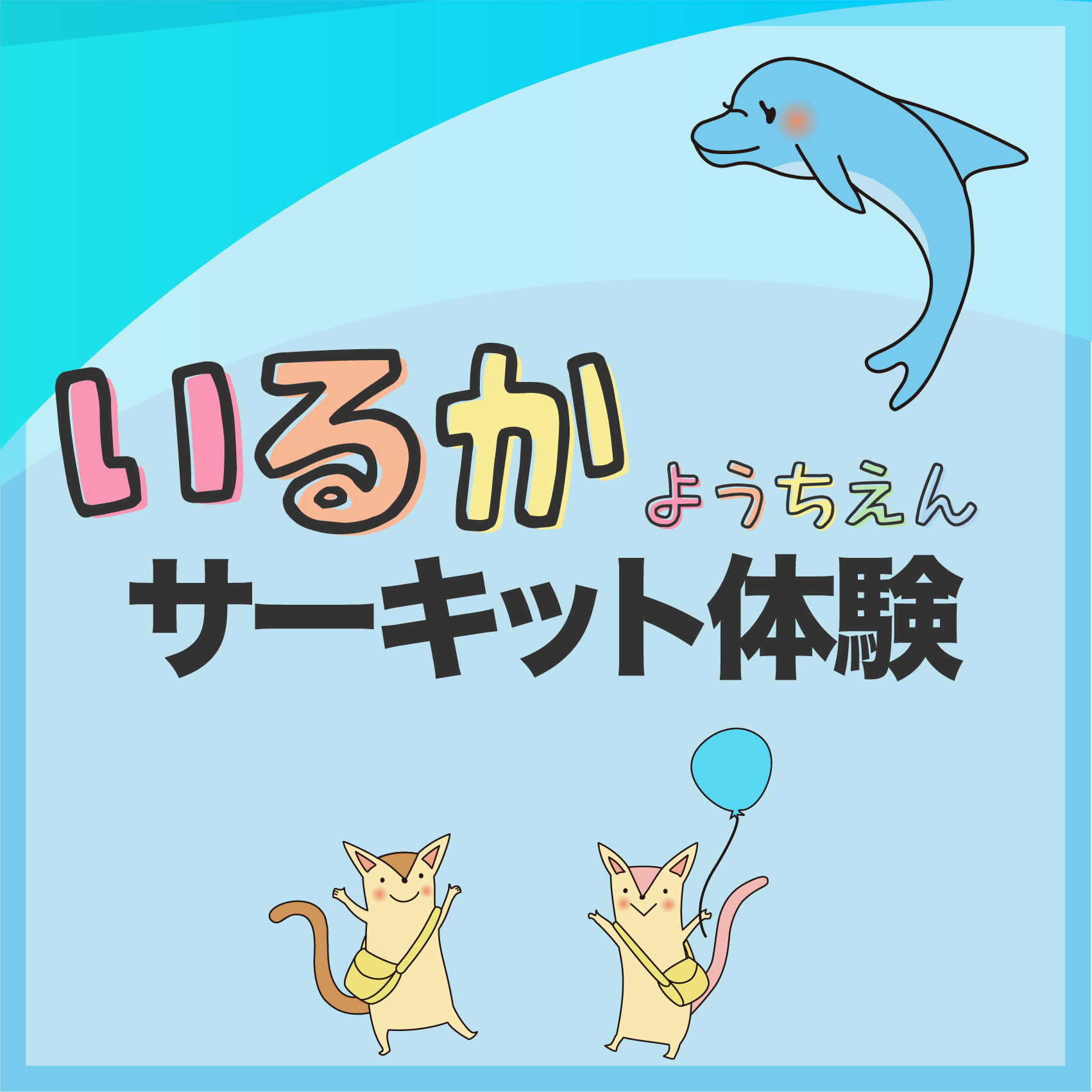 Featured image for “9月9日（火） サーキット体験＆園内見学のお知らせ 🎵”